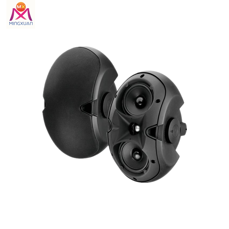 Dual 4-inch two-way surface-mount loudspeaker EV4.2