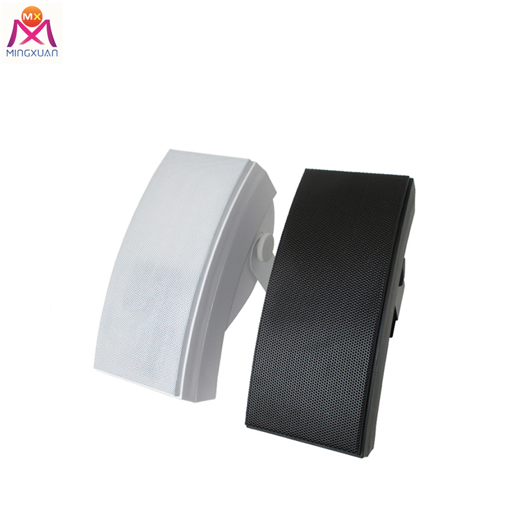 Wall-mount Background Forground speaker 251